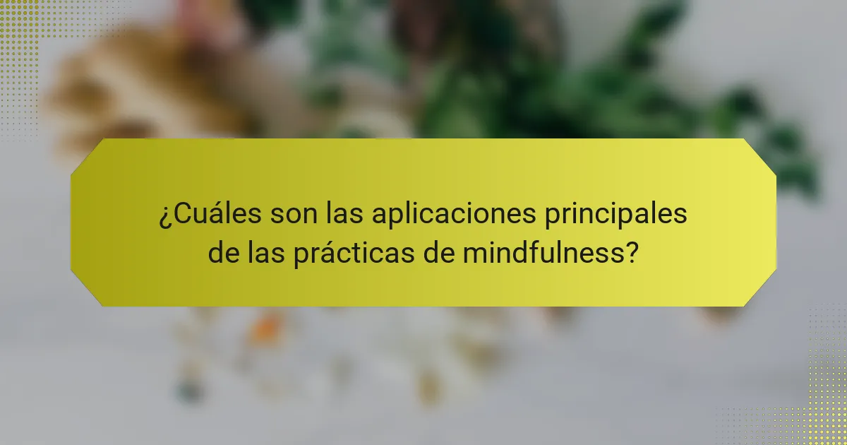 ¿Cuáles son las aplicaciones principales de las prácticas de mindfulness?