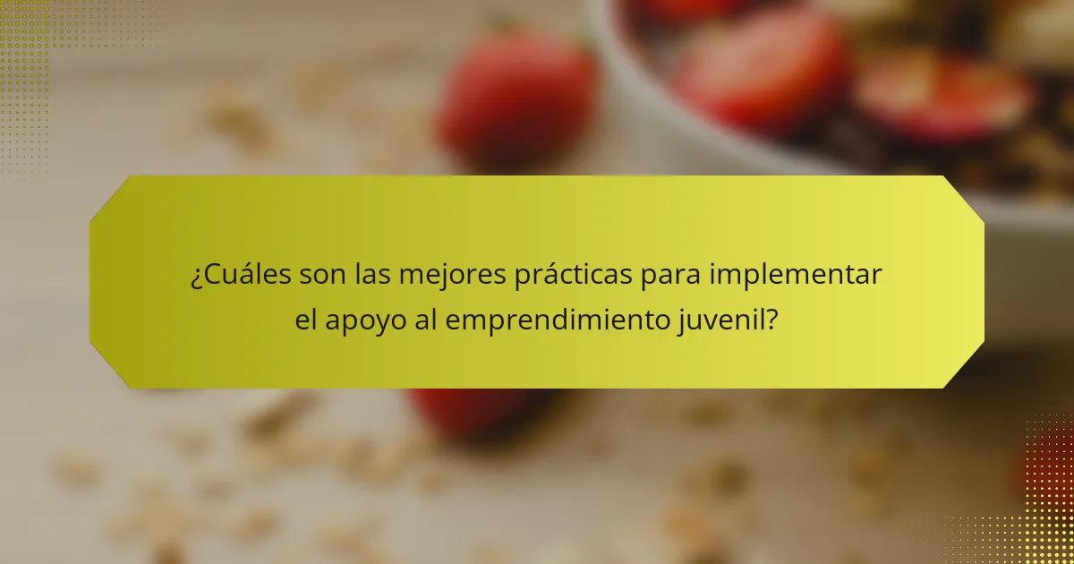 ¿Cuáles son las mejores prácticas para implementar el apoyo al emprendimiento juvenil?