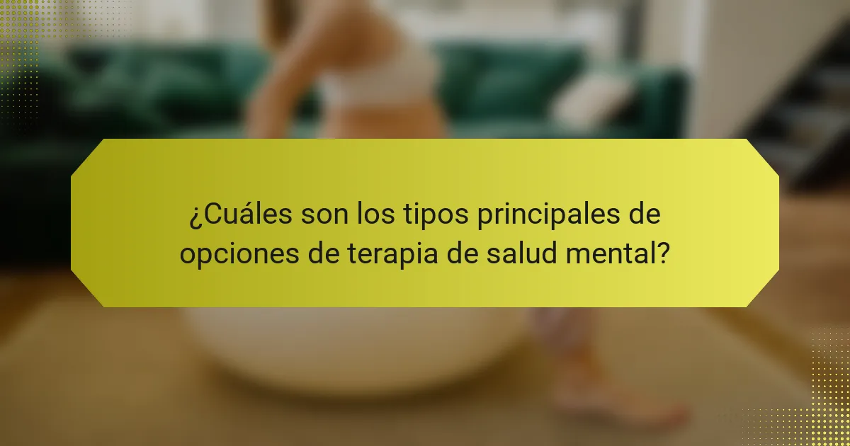 ¿Cuáles son los tipos principales de opciones de terapia de salud mental?
