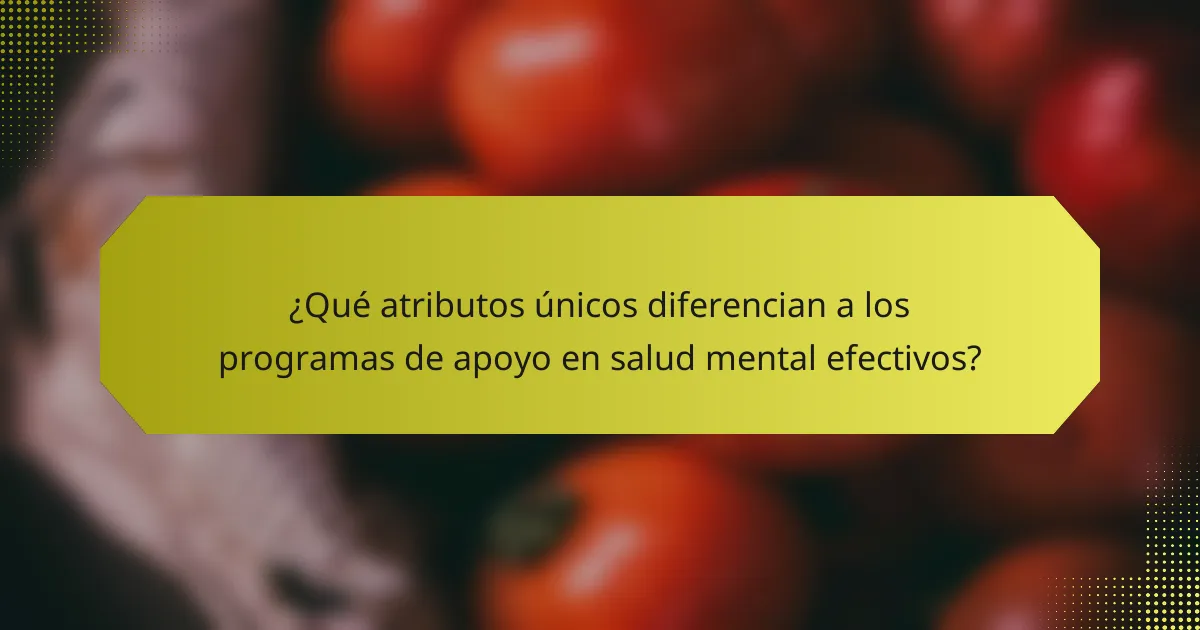 ¿Qué atributos únicos diferencian a los programas de apoyo en salud mental efectivos?