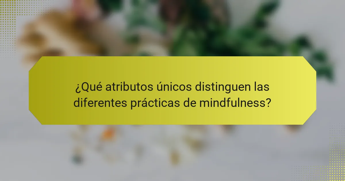 ¿Qué atributos únicos distinguen las diferentes prácticas de mindfulness?